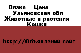 Вязка  › Цена ­ 1 000 - Ульяновская обл. Животные и растения » Кошки   